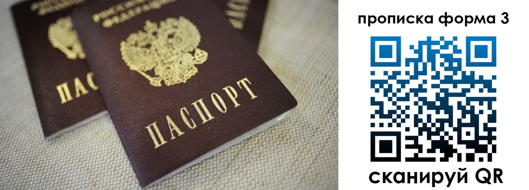 прописка поиск в Армавире